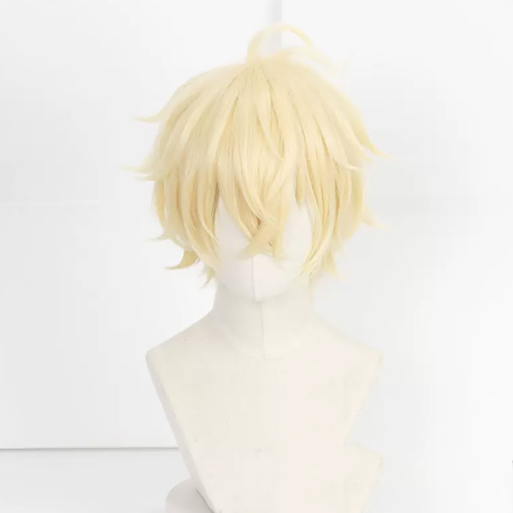 Peruca de Cosplay HAIRJOY de C - Wig Fiber Net avaliação e preço