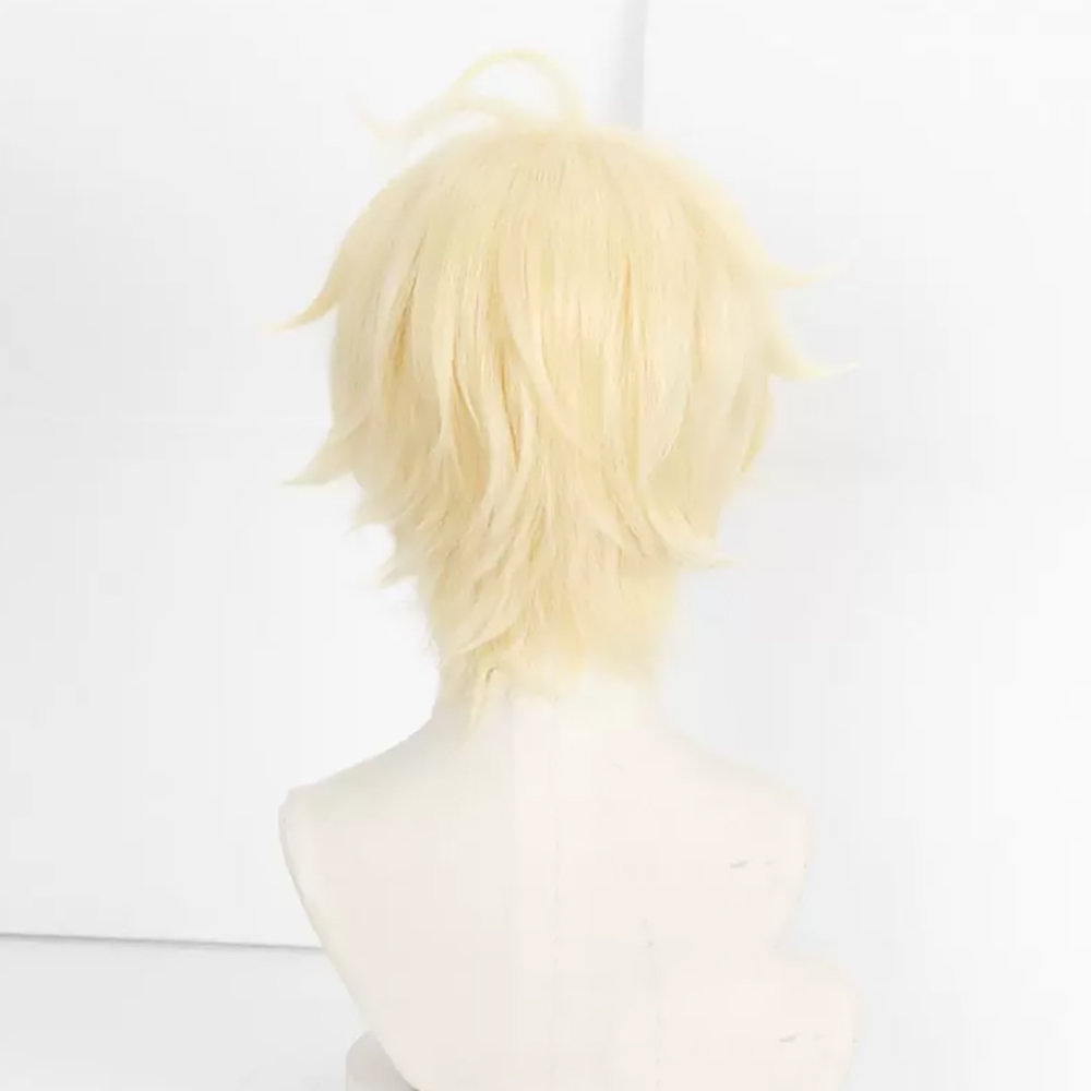 Peruca de Cosplay HAIRJOY de C - Wig Fiber Net avaliação e preço